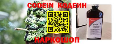 крисы Можга