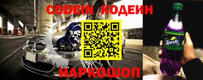 крисы Можга