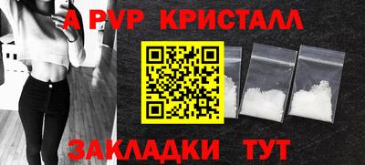 крисы Можга