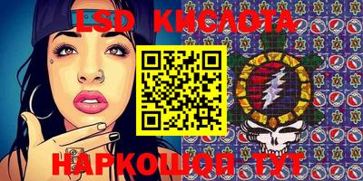 крисы Можга
