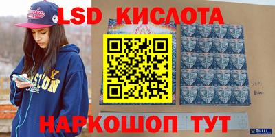 крисы Можга