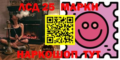 крисы Можга