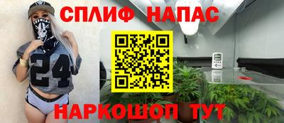 крисы Можга