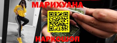 крисы Можга