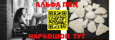 крисы Можга